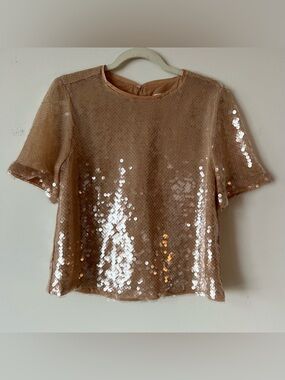 LOFT Sequin Top Blush Pink Womens Small Party Holiday